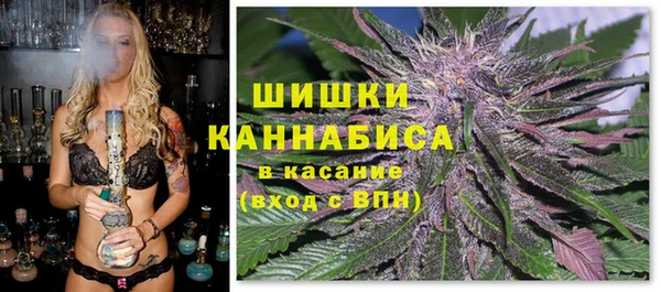 молекула духа Мурманск