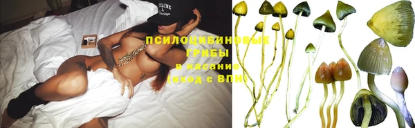 герыч Заволжск