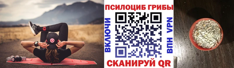 Псилоцибиновые грибы Cubensis  гидра как войти  Пугачёв 